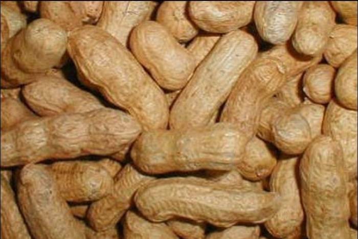 Bizcocho de cacahuetes