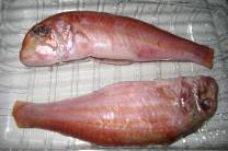 recipe-step-1