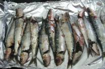 Preparar las sardinas