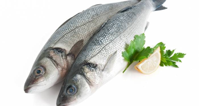 Pescado bien conservado
