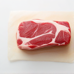 Lagarto ibérico