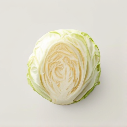 Repollo blanco